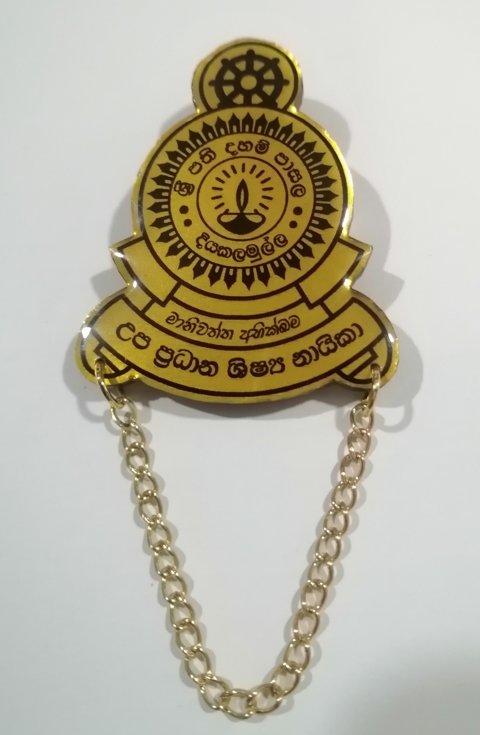 SUNDAYS SCHOOL PLASTIC BADGES - 10